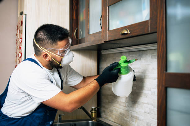 Reliable Fort Hall, ID Pest Control Solutions