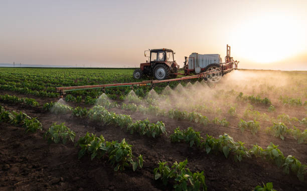 Pest Control for Restaurants in Fort Hall, ID