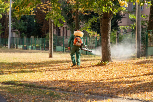 Best Best Pest Control Companies  in Fort Hall, ID